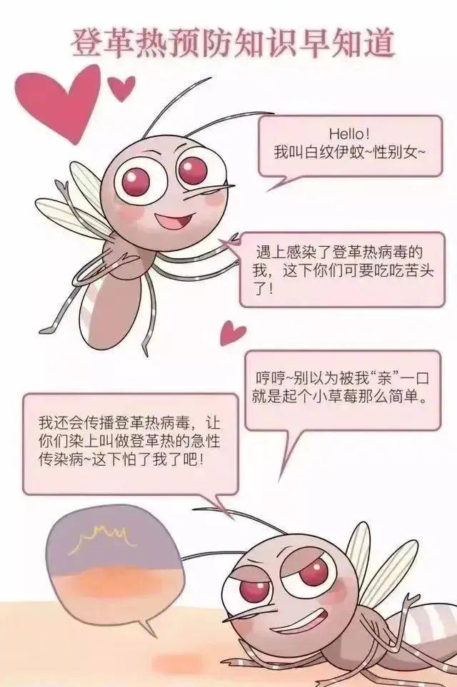 登革热症状及传染性解析，人际传播可能性探讨